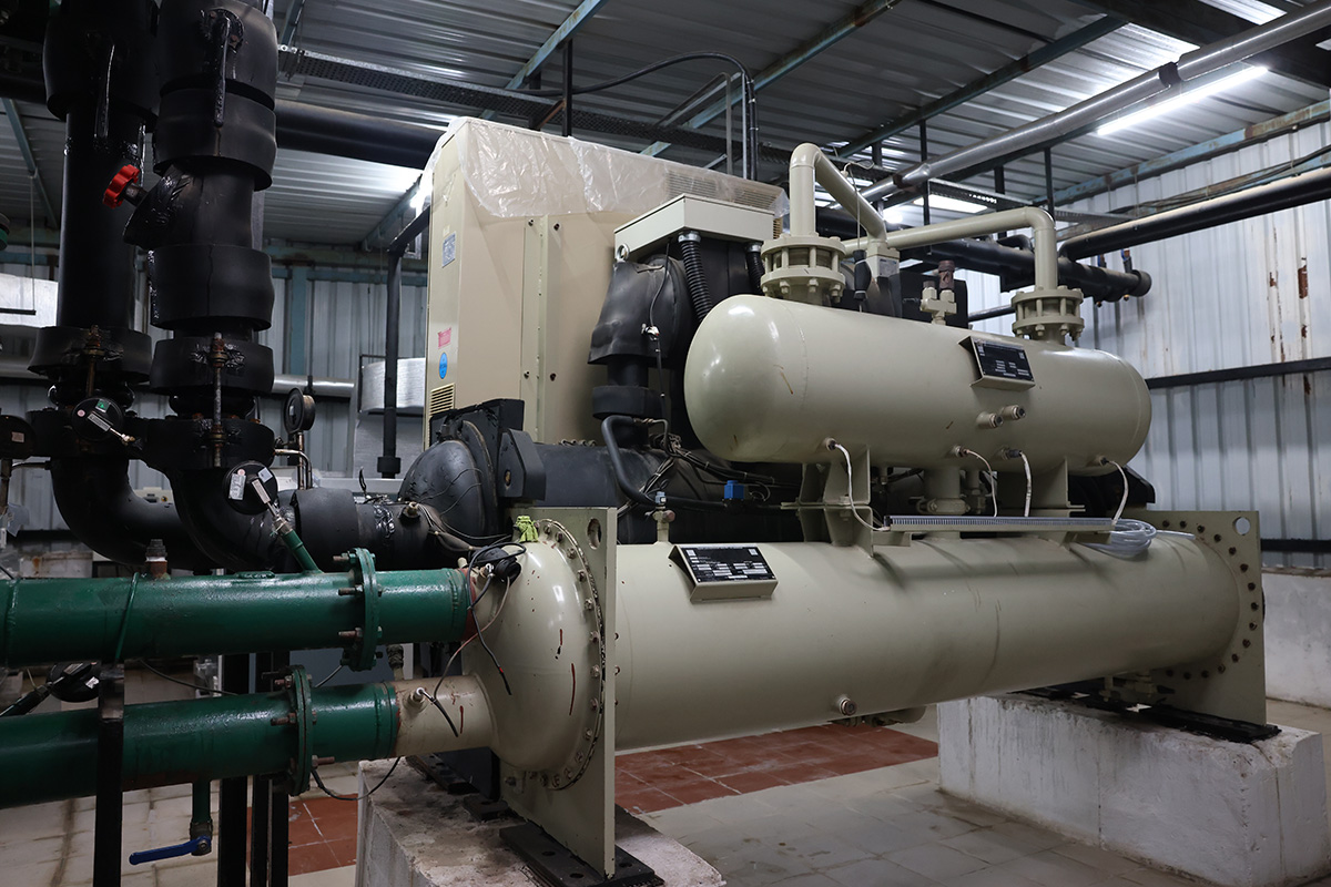 rebase-mu-4